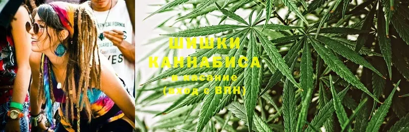 наркота  Игра  МЕГА ССЫЛКА  Шишки марихуана SATIVA & INDICA 